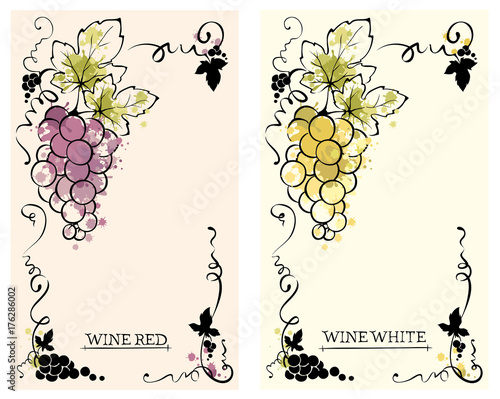 Label for red and white wine -- set /  Vector illustration, floral design element, splash watercolor
