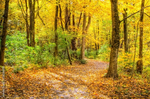 Autumn Trail © Jason Yoder