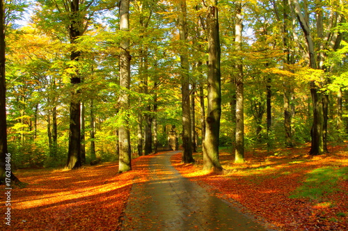 Spacer w jesiennym parku