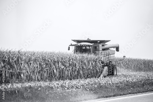 Combine harvest corn crop on rural farmland photo