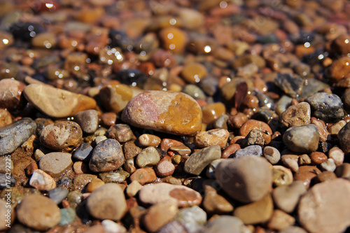  Sea       stones