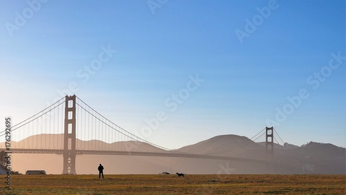 Golden gate dog playing crissy field
