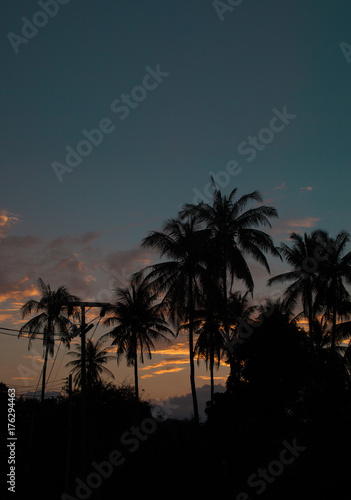 Beautiful shoot of palms and electric lines silhouette with sunrise sky background