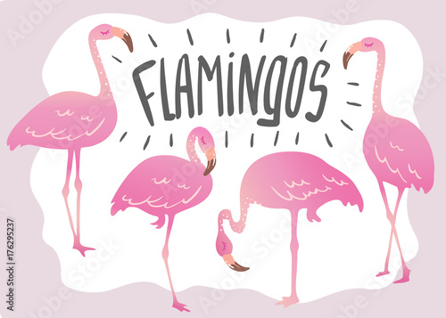 vector set of cute cartoon pink flamingo