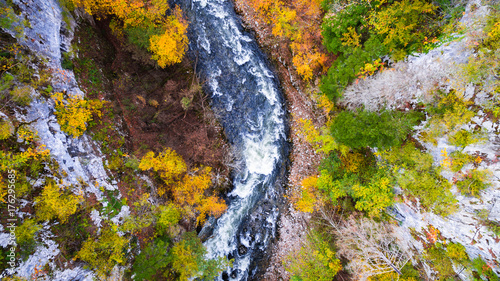 Aerial drone view of amazing autumn colors in fall forest. Rakov Skocjan, Slovenia