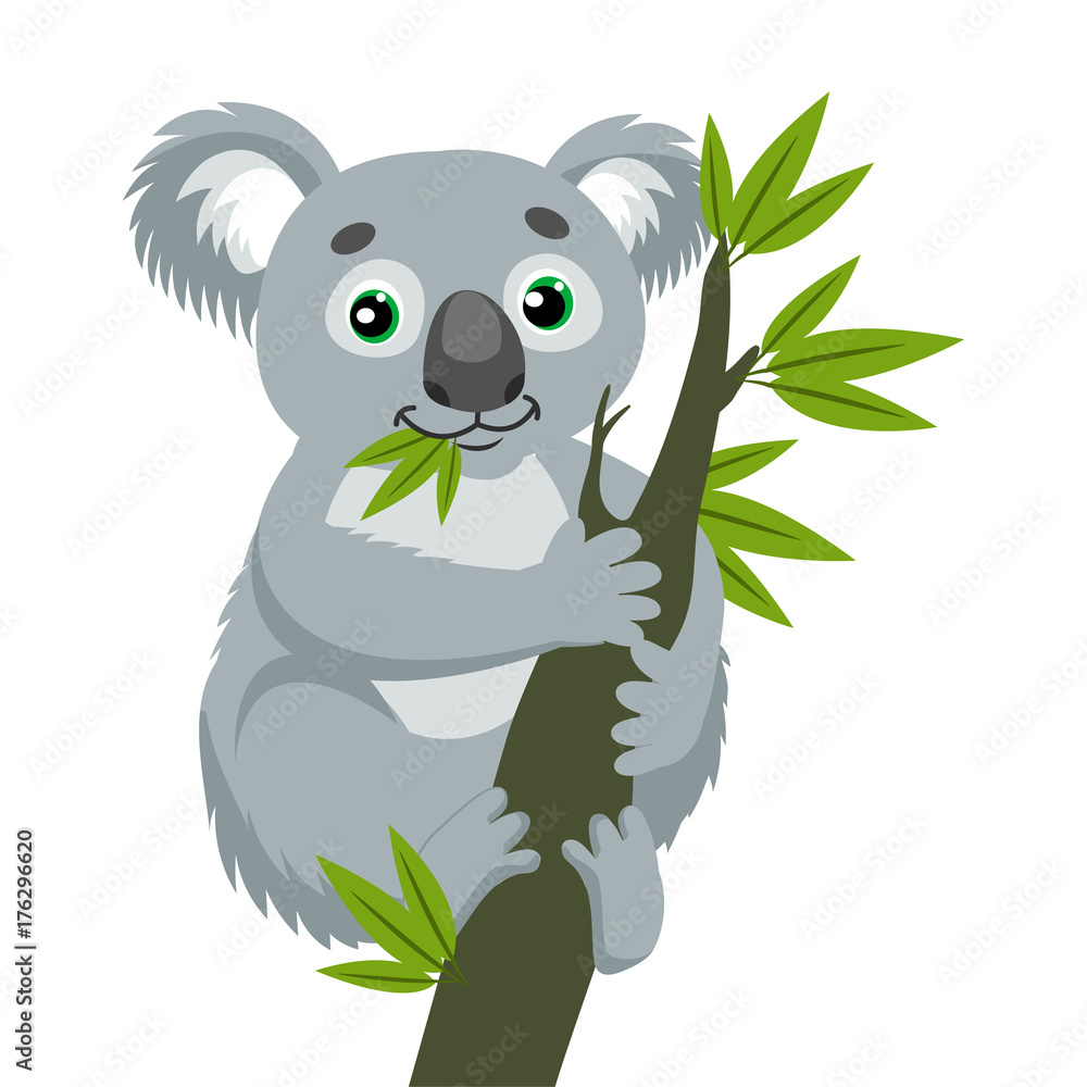 Fototapeta premium Miś Koala Na Gałęzi Drewna Z Zielonymi Liśćmi. Australijskie zwierzę najzabawniejsza koala siedząca na gałęzi eukaliptusa. Ilustracja kreskówka wektor. Kultowe torbacze.