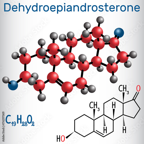 Dehydroepiandrosterone DHEA (androstenolone, endogenous steroid hormone ) - structural chemical formula and molecule model photo