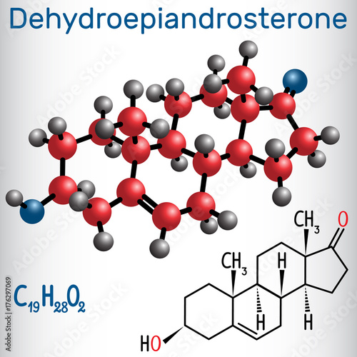 Dehydroepiandrosterone DHEA (androstenolone, endogenous steroid hormone ) - structural chemical formula and molecule model