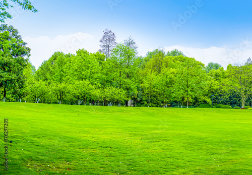 Park green trees