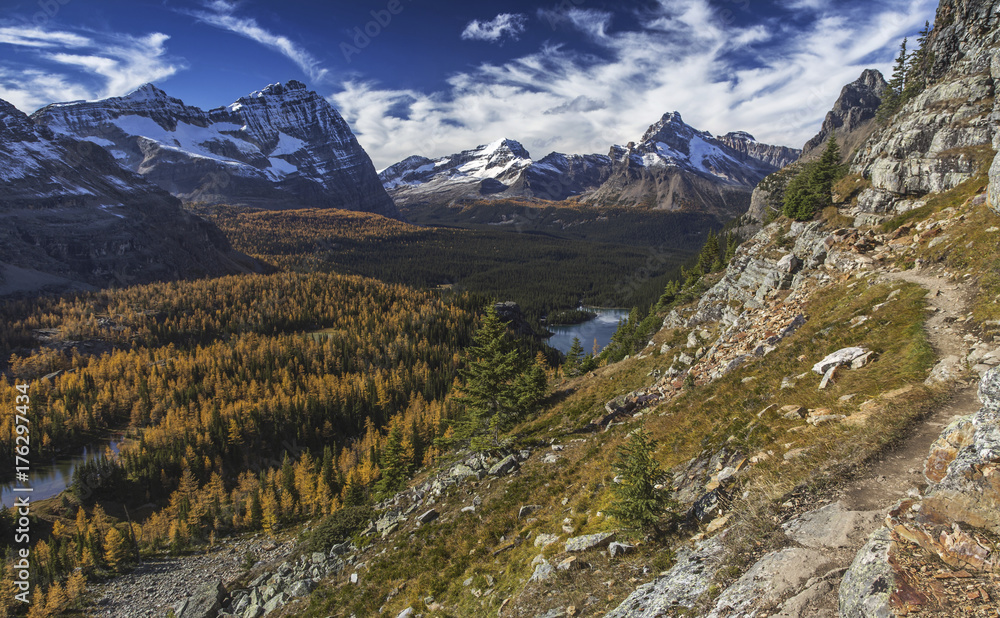 Distant Landscape View and Snowy Rocky Mountain Tops from Great Hiking Trail above Lake O'Hara in Yoho National Park British Columbia Canada
