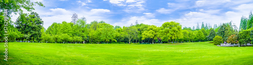 Park green trees