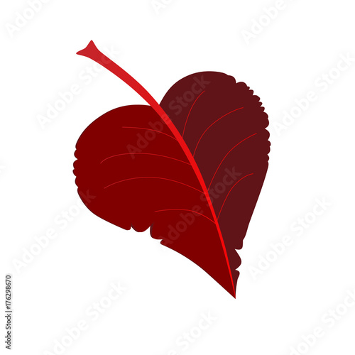 damaged autumn red leaf vector