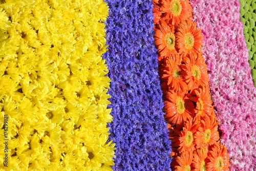 Infiorata di Spello 3