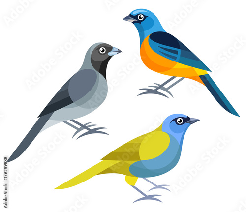 Stylized Birds - Blue-and-yellow Tanager, Black-faced Tanager, Blue-capped Tanager