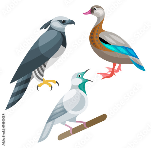 Stylized Birds - Birds of Brazil - Harpy Eagle, Brazilian Teal, Bare-throated Bellbird
