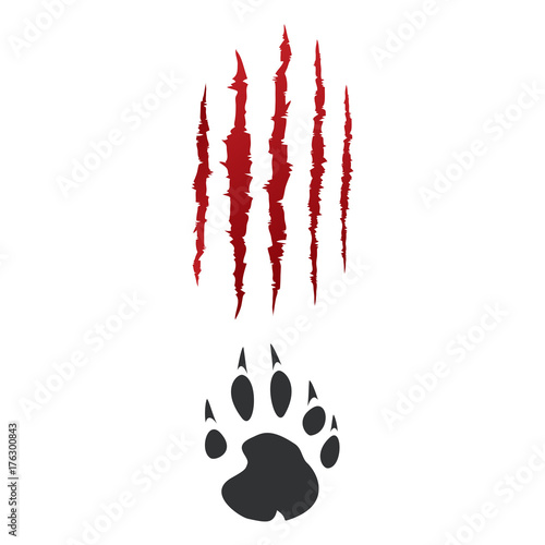 Footprints of a big bear panther or tiger vector traces