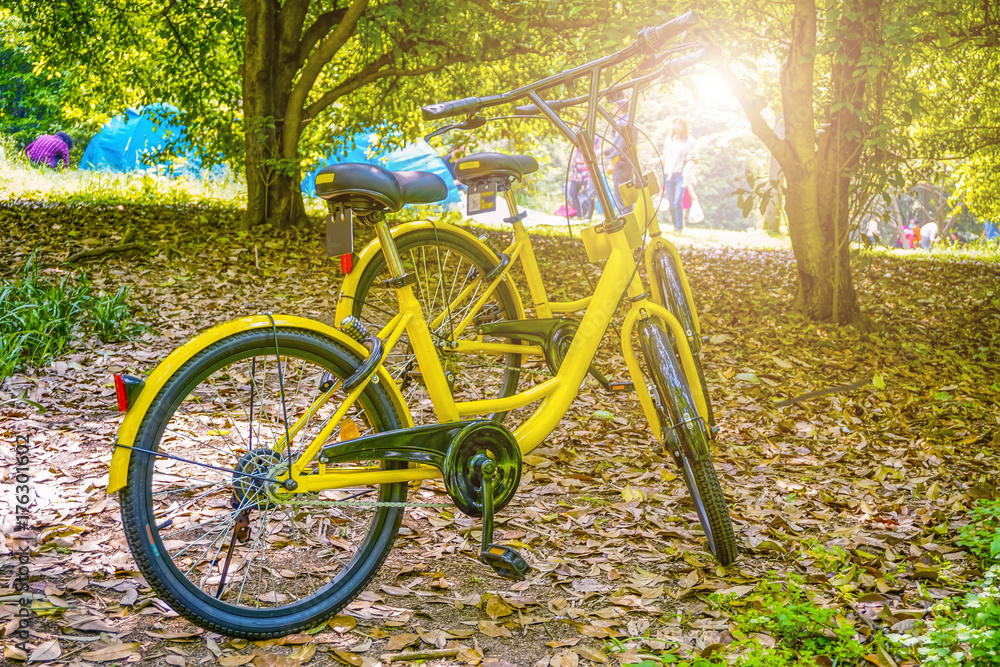 Fototapeta premium Park parked bike