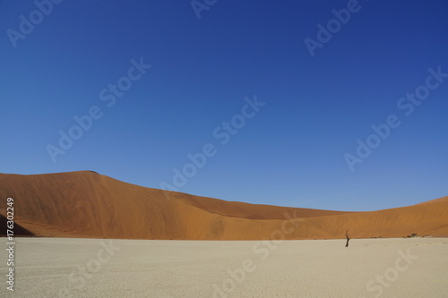 A lonely tree in Deadvlei  Namibia