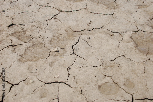 ground