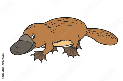 Funny platypus. Australian