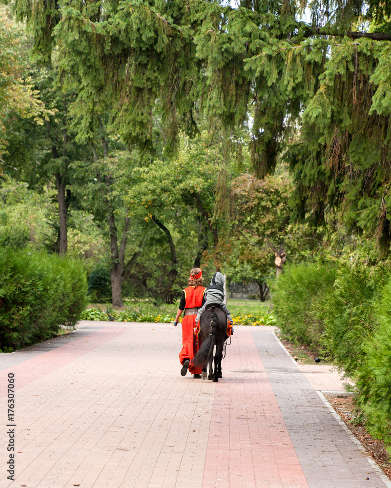 girl leads the horse under the bridle in the saddle with the child, the rear view girl leads the horse under the bridle in the saddle with the child, the rear view