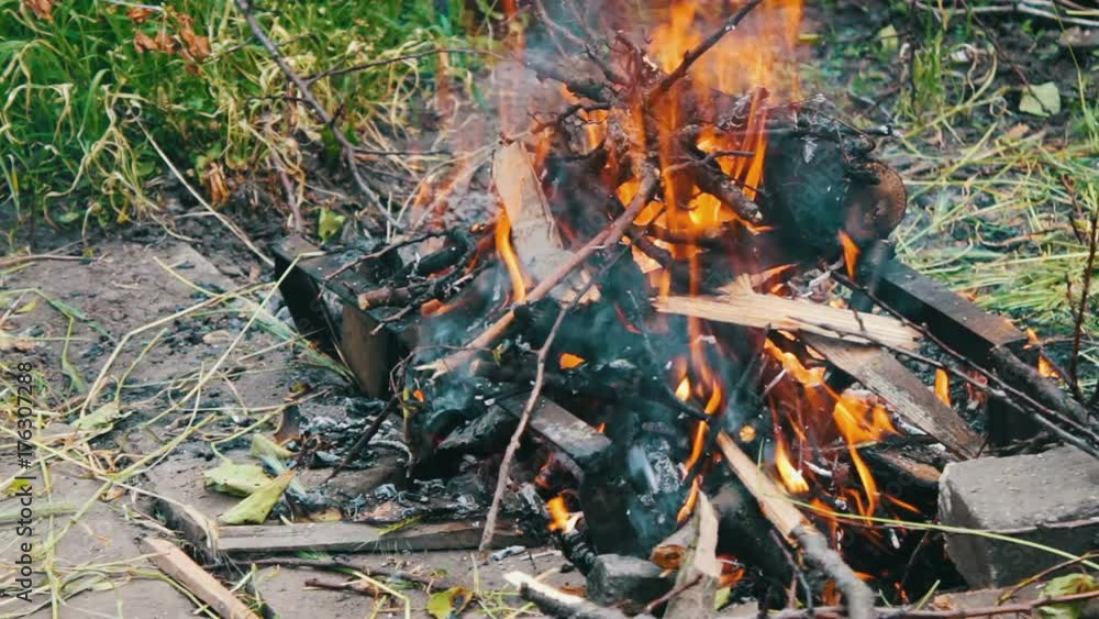 Dry branches burn on ground, branches of trees burn on fire Dry branches burn on ground, branches of trees burn on fire