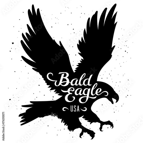Eagle silhouette 002
