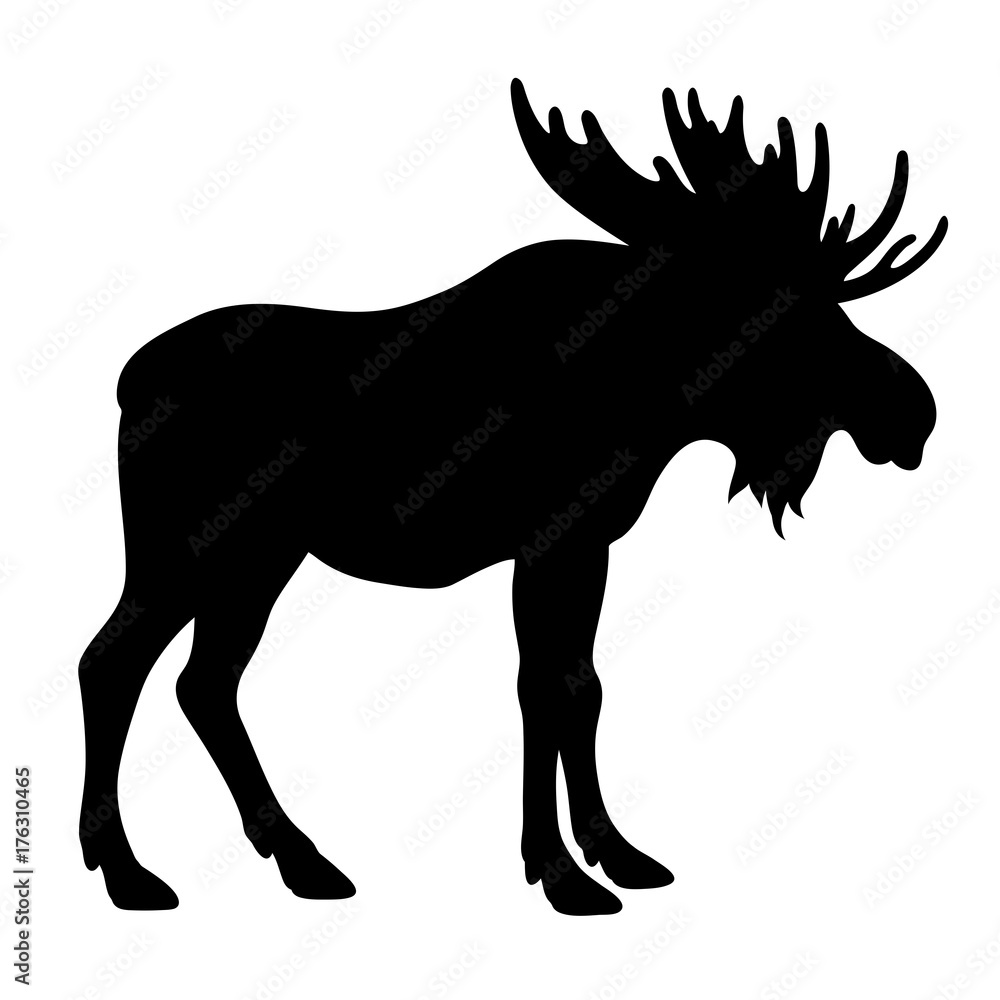 Fototapeta premium Moose silhouette 001