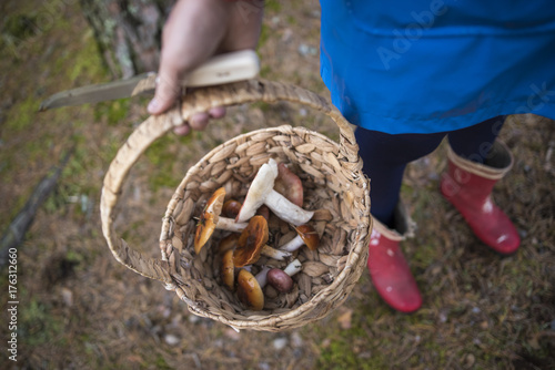 A woman in a blue raincoat holding a knife and a wicker basket full of edible mushrooms