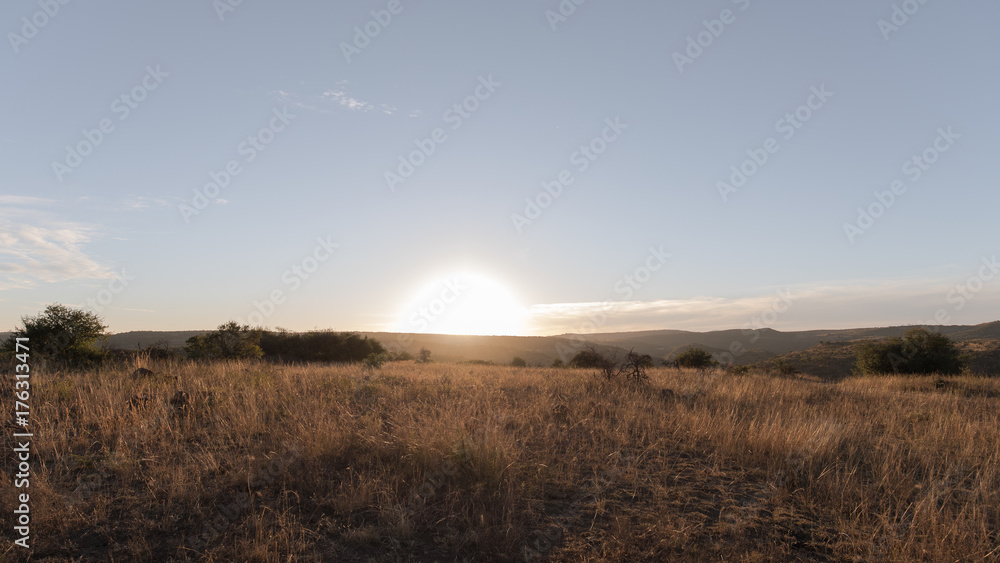 Sunrise Nambiti Game Reserve, South Africa.