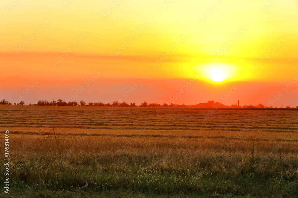 Stubble field at sunset