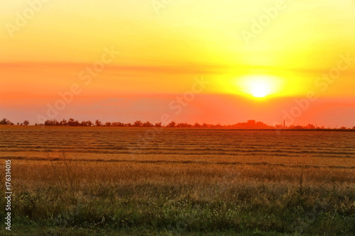Stubble field at sunset