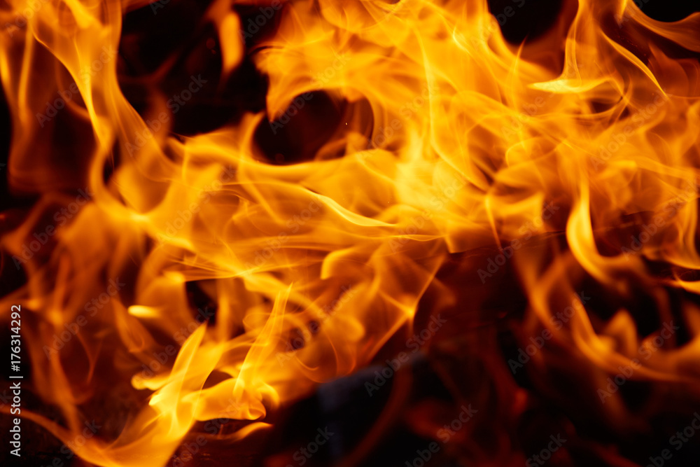 Burning firewood in the fireplace close up photo. Burning firewood in the fireplace close up photo.