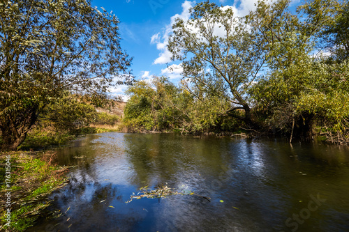 Early autumn landscape. Wild river flowing along the banks, densely overgrown with bushes and trees.