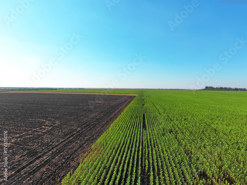 Beautiful fields on sunny day