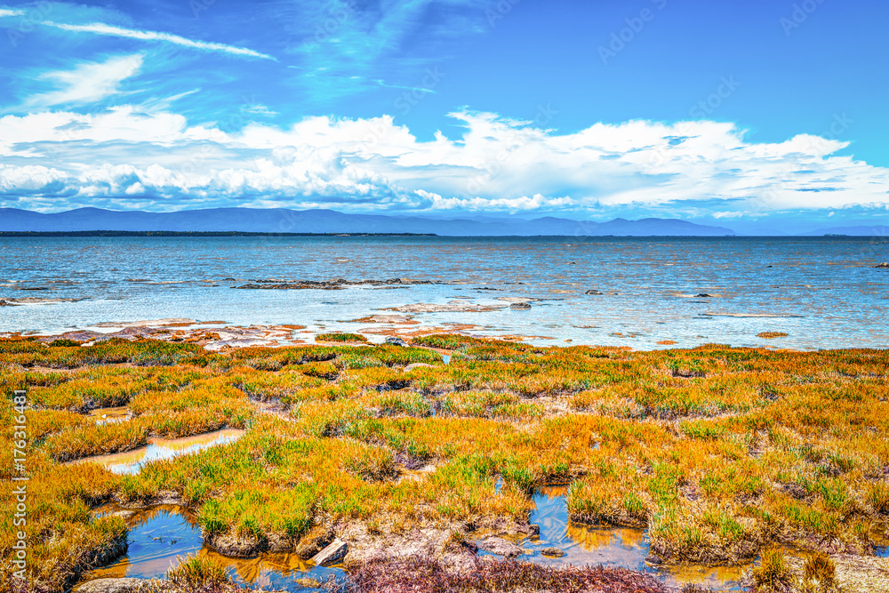 Closeup of Saint Lawrence river beach in Quebec, Canada with grass and shallow blue turquoise water