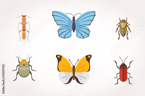 Set of different insects in cartoon style. Butterfly and beetle collection. © denis08131