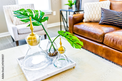 Macro closeup of serving tray stand with empty glasses and plant in staging model house or apartment by brown leather couch
