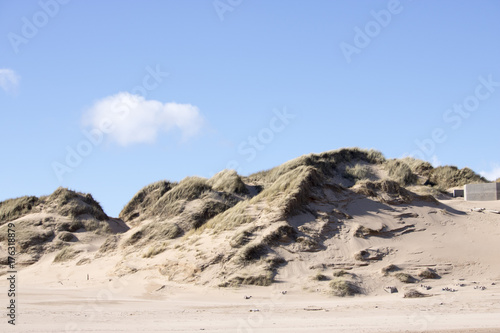 Grassy Sand Dunes at Newburgh Beach in front of Blue Sky