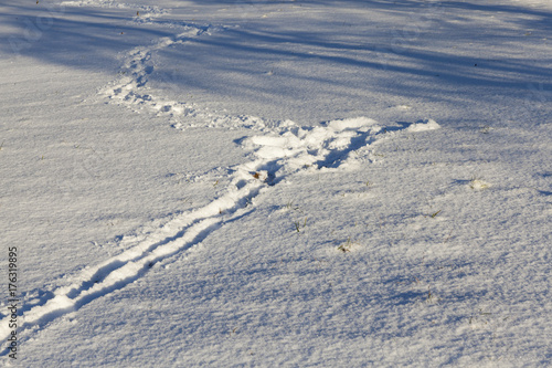 Footprints of a man