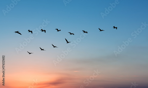 Pelicans over bright sunset