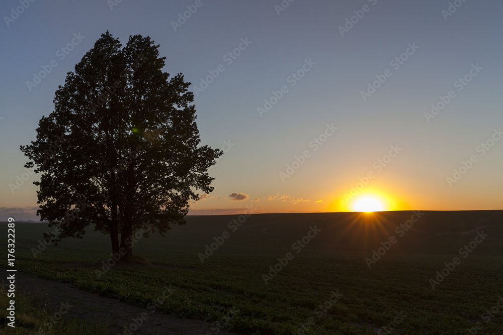 Obraz premium the sky at sunset