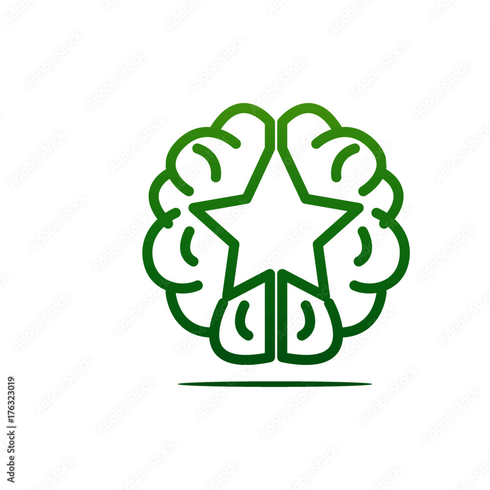 star brain star brain