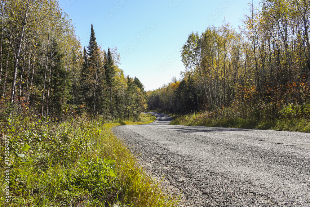 Obraz premium country road