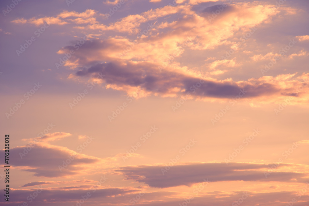 Colorful sunset. Toned image.