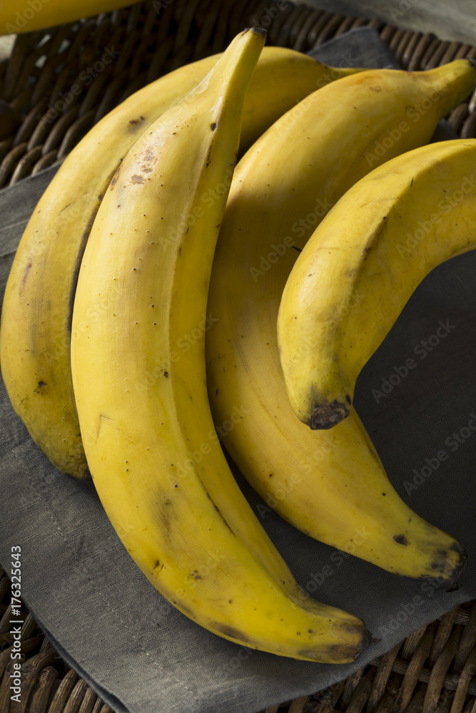 Raw Organic Yellow Plantain Bananas