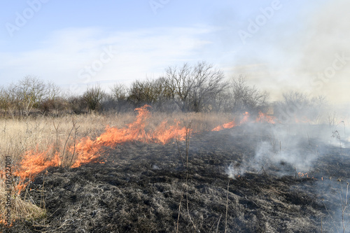 Burning dry grass and reeds. Cleaning the fields and ditches of © eleonimages
