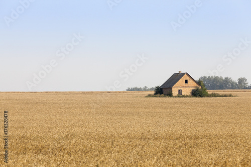 The house is in the field