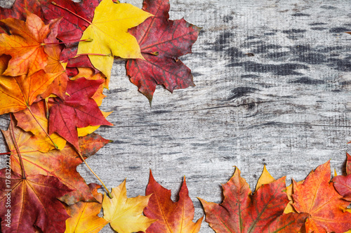 Autumn maple leaves  scattered on the wooden board