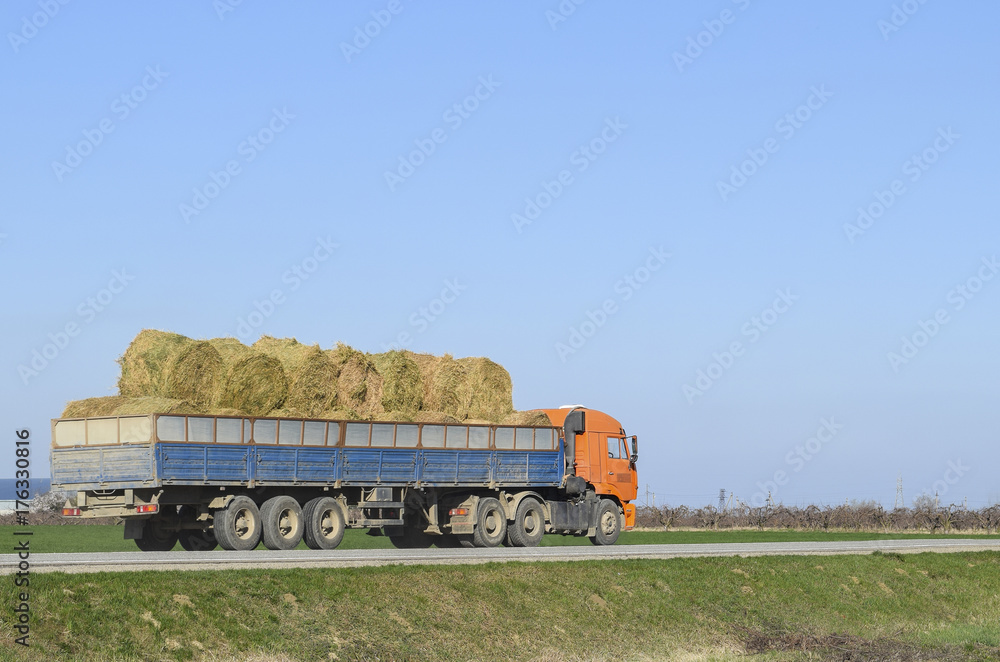 Truck carrying hay in his body. Making hay for the winter.